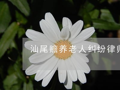 汕尾赡养老人纠纷律师 汕尾赡养老人纠纷律师
