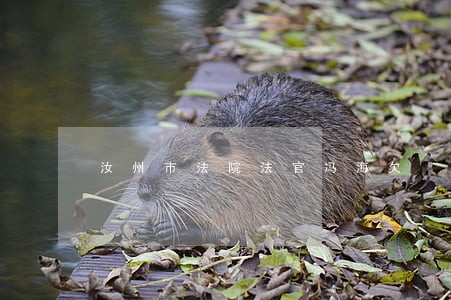 汝州市法院法官冯海欠 汝州市法院法官冯海欠
