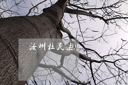 汝州杜民法 汝州杜民法
