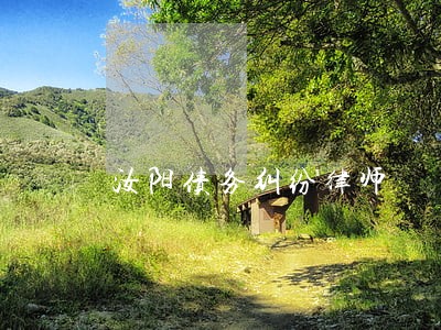 汝阳债务纠纷律师 汝阳债务纠纷律师