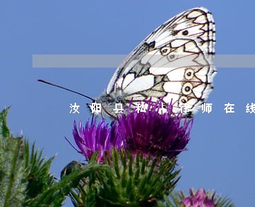 汝阳县私人律师在线律师 汝阳县私人律师在线律师