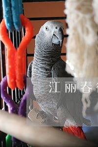 江丽春律师解答了您好 江丽春律师解答了您好