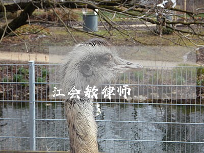 江会敏律师 江会敏律师