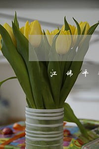 江伟平律师 江伟平律师