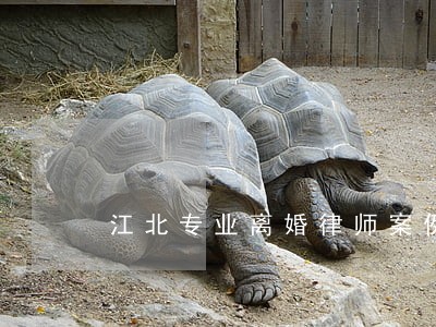 江北专业离婚律师案例 江北专业离婚律师案例