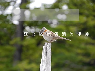 江北区债务清欠律师 江北区债务清欠律师
