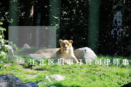 江北区刑事打官司律师事务所 江北区刑事打官司律师事务所