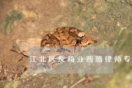 江北区反商业贿赂律师专家