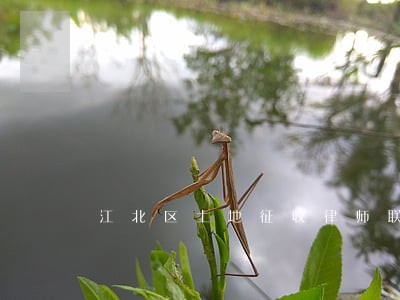 江北区土地征收律师联系方式 江北区土地征收律师联系方式