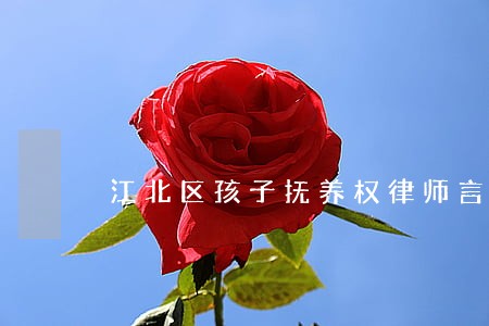 江北区孩子抚养权律师言必信果
