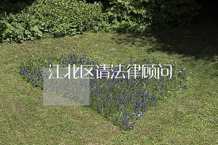 江北区请法律顾问 江北区请法律顾问