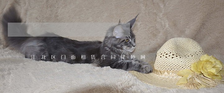 江北区门面租赁合同律师网 江北区门面租赁合同律师网