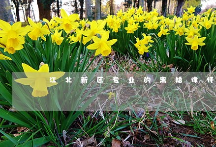 江北新区专业的离婚律师 江北新区专业的离婚律师