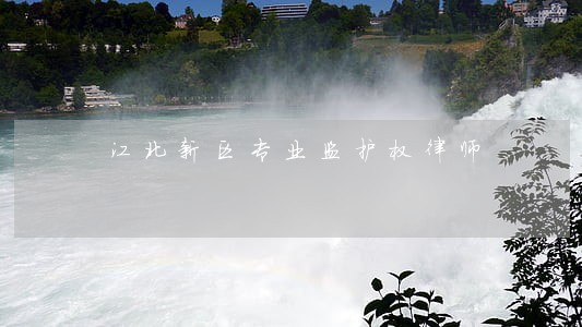 江北新区专业监护权律师