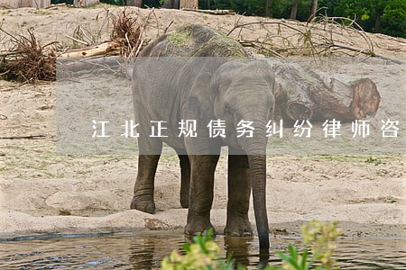 江北正规债务纠纷律师咨询 江北正规债务纠纷律师咨询