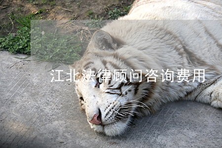 江北法律顾问咨询费用 江北法律顾问咨询费用