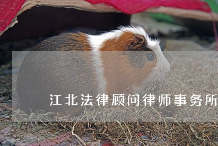 江北法律顾问律师事务所