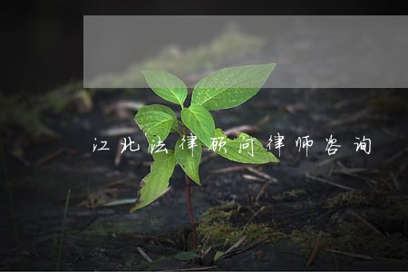 江北法律顾问律师咨询 江北法律顾问律师咨询