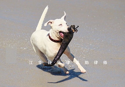 江华县法律援助律师
