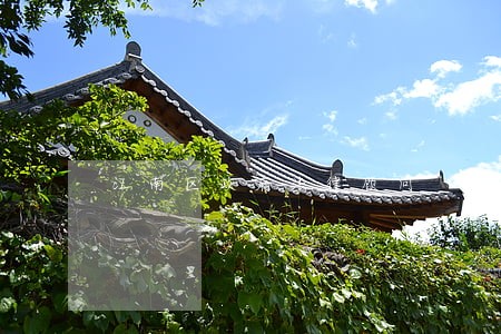 江南区政府法律顾问