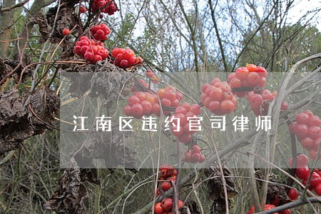江南区违约官司律师 江南区违约官司律师
