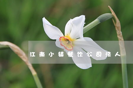 江南小镇餐饮公司法人 江南小镇餐饮公司法人