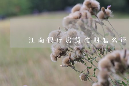 江南银行房贷逾期怎么还 江南银行房贷逾期怎么还