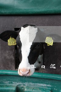 江口沉律师 江口沉律师
