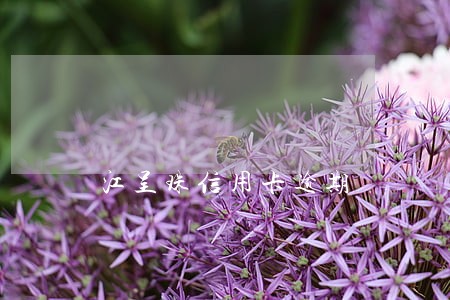江呈珠信用卡逾期 江呈珠信用卡逾期