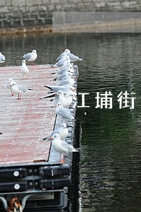 江埔街道律师动态律师快报 江埔街道律师动态律师快报