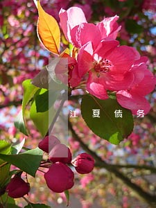 江夏债务律师费用多少 江夏债务律师费用多少