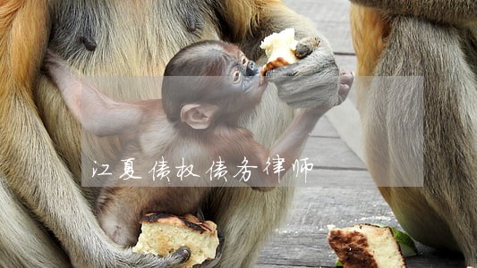 江夏债权债务律师 江夏债权债务律师