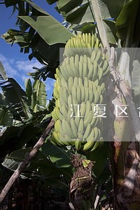 江夏区合同保全律师 江夏区合同保全律师
