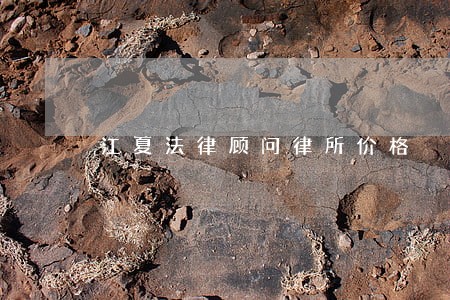 江夏法律顾问律所价格 江夏法律顾问律所价格