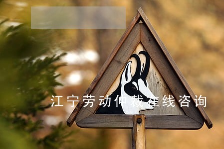 江宁劳动仲裁在线咨询 江宁劳动仲裁在线咨询