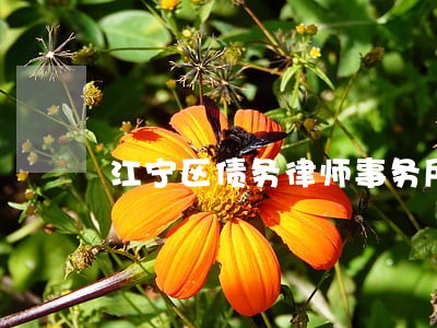 江宁区债务律师事务所 江宁区债务律师事务所