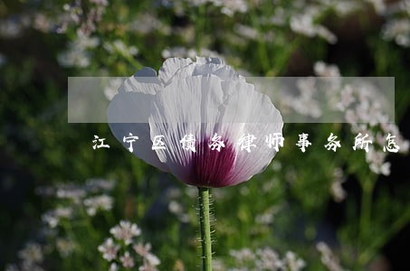 江宁区债务律师事务所怎么收费 江宁区债务律师事务所怎么收费