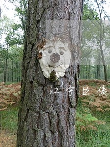 江宁区债务律师事务所收费标准 江宁区债务律师事务所收费标准