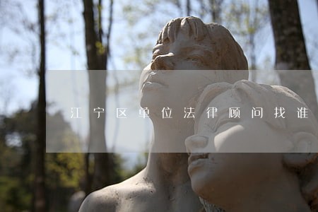 江宁区单位法律顾问找谁 江宁区单位法律顾问找谁