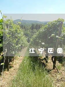 江宁区图书馆法律咨询广场