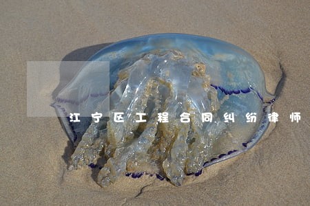 江宁区工程合同纠纷律师