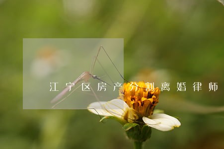 江宁区房产分割离婚律师 江宁区房产分割离婚律师
