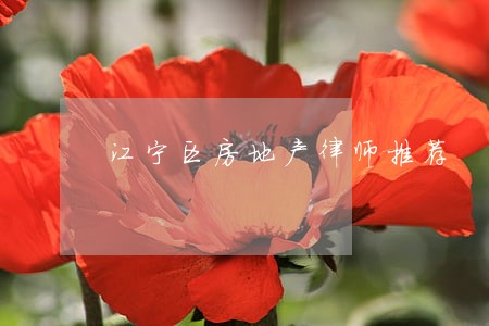 江宁区房地产律师推荐 江宁区房地产律师推荐