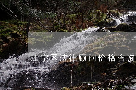 江宁区法律顾问价格咨询 江宁区法律顾问价格咨询