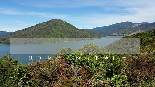 江宁区法律顾问市场价格 江宁区法律顾问市场价格