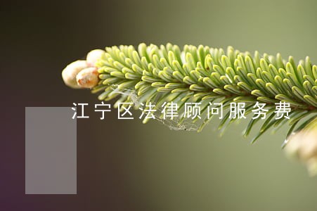 江宁区法律顾问服务费 江宁区法律顾问服务费