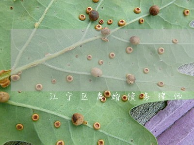 江宁区离婚债务律师 江宁区离婚债务律师
