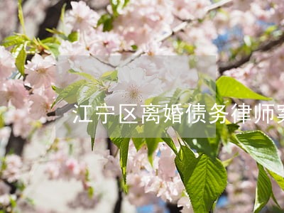 江宁区离婚债务律师案件咨询 江宁区离婚债务律师案件咨询