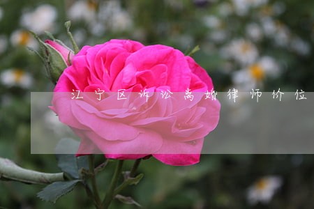 江宁区诉讼离婚律师价位 江宁区诉讼离婚律师价位
