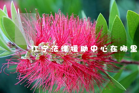 江宁法律援助中心在哪里 江宁法律援助中心在哪里